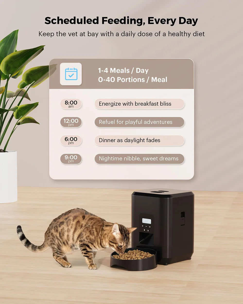 Automatic Food Machine & Pet  Food Dispenser