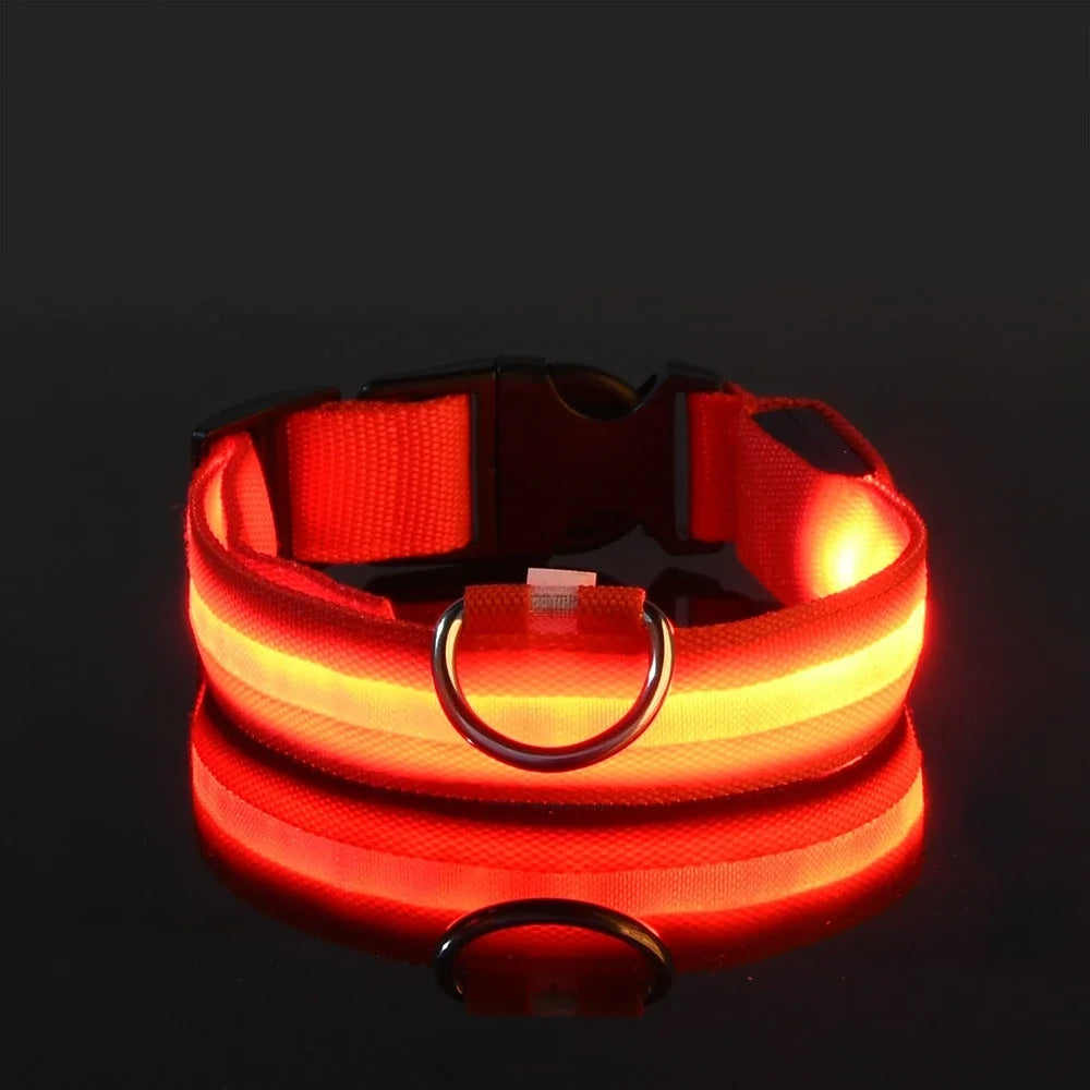 Dog Collar Nylon LED Night Safety Flashing Glow