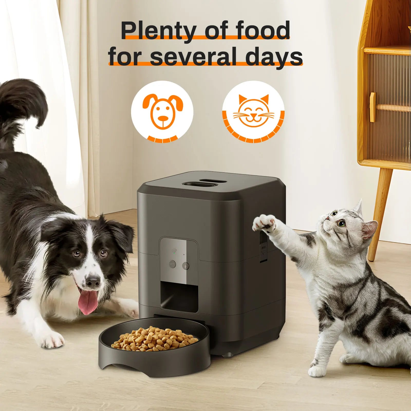 Automatic Food Machine & Pet  Food Dispenser