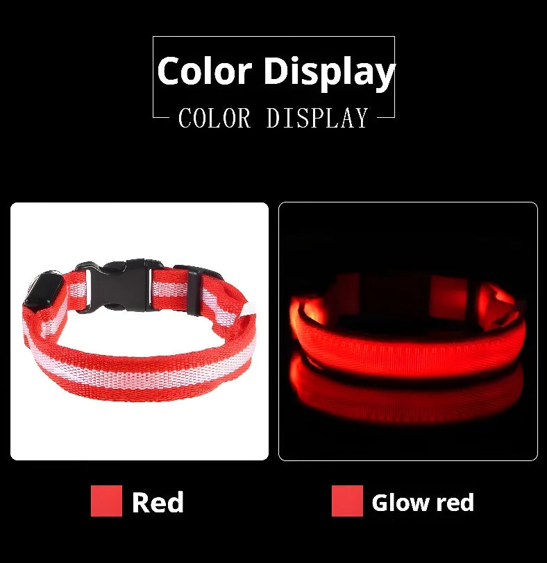 Dog Collar Nylon LED Night Safety Flashing Glow