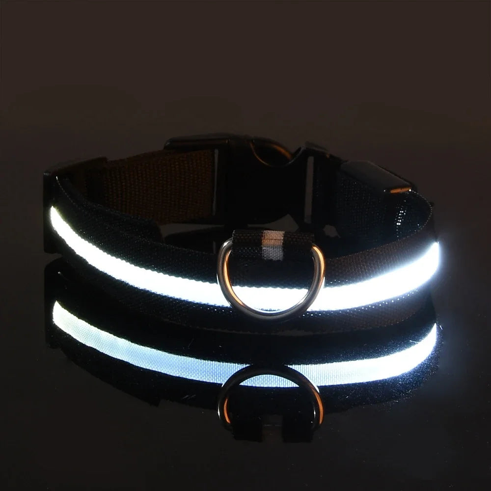 Dog Collar Nylon LED Night Safety Flashing Glow