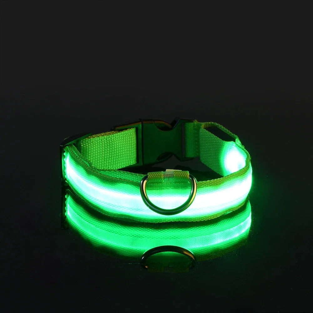 Dog Collar Nylon LED Night Safety Flashing Glow