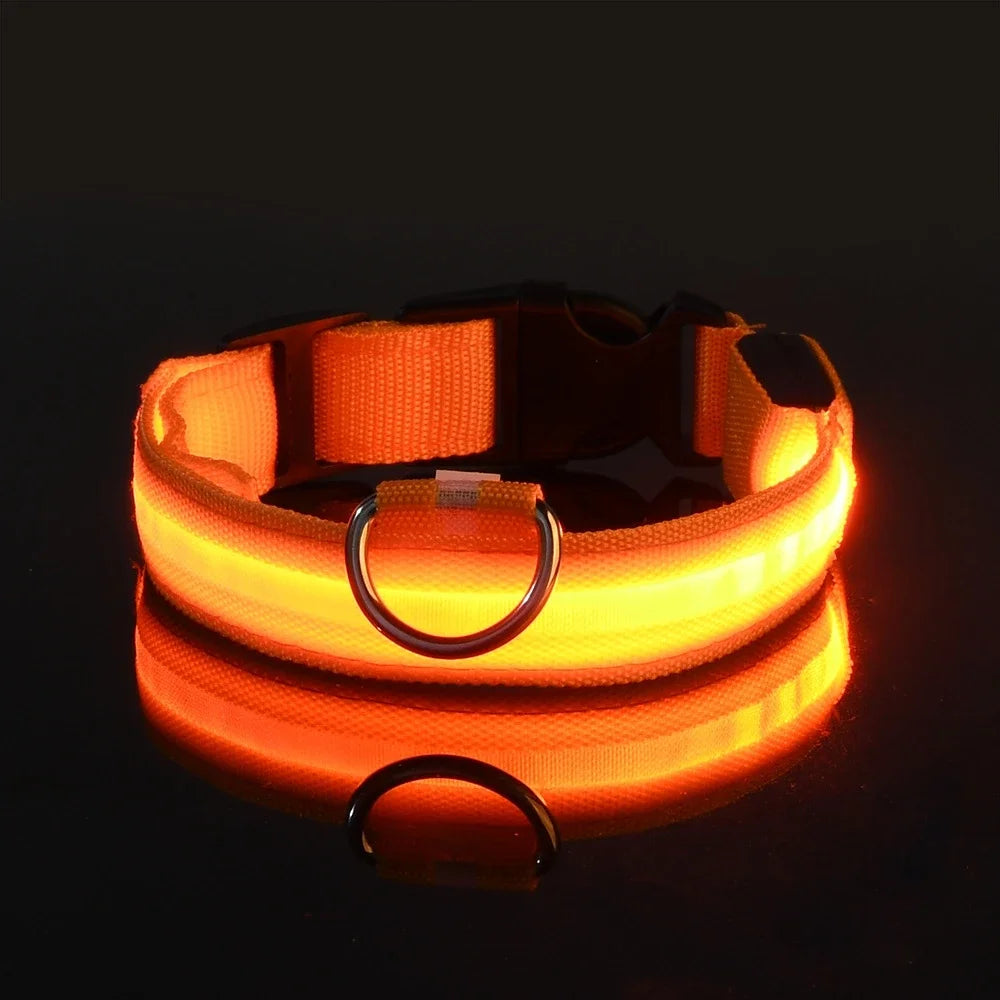 Dog Collar Nylon LED Night Safety Flashing Glow