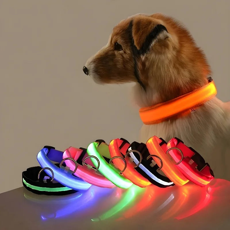 Dog Collar Nylon LED Night Safety Flashing Glow