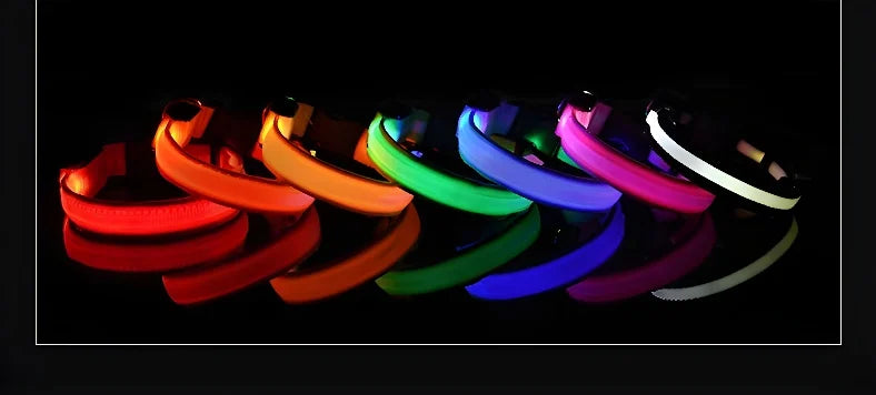 Dog Collar Nylon LED Night Safety Flashing Glow