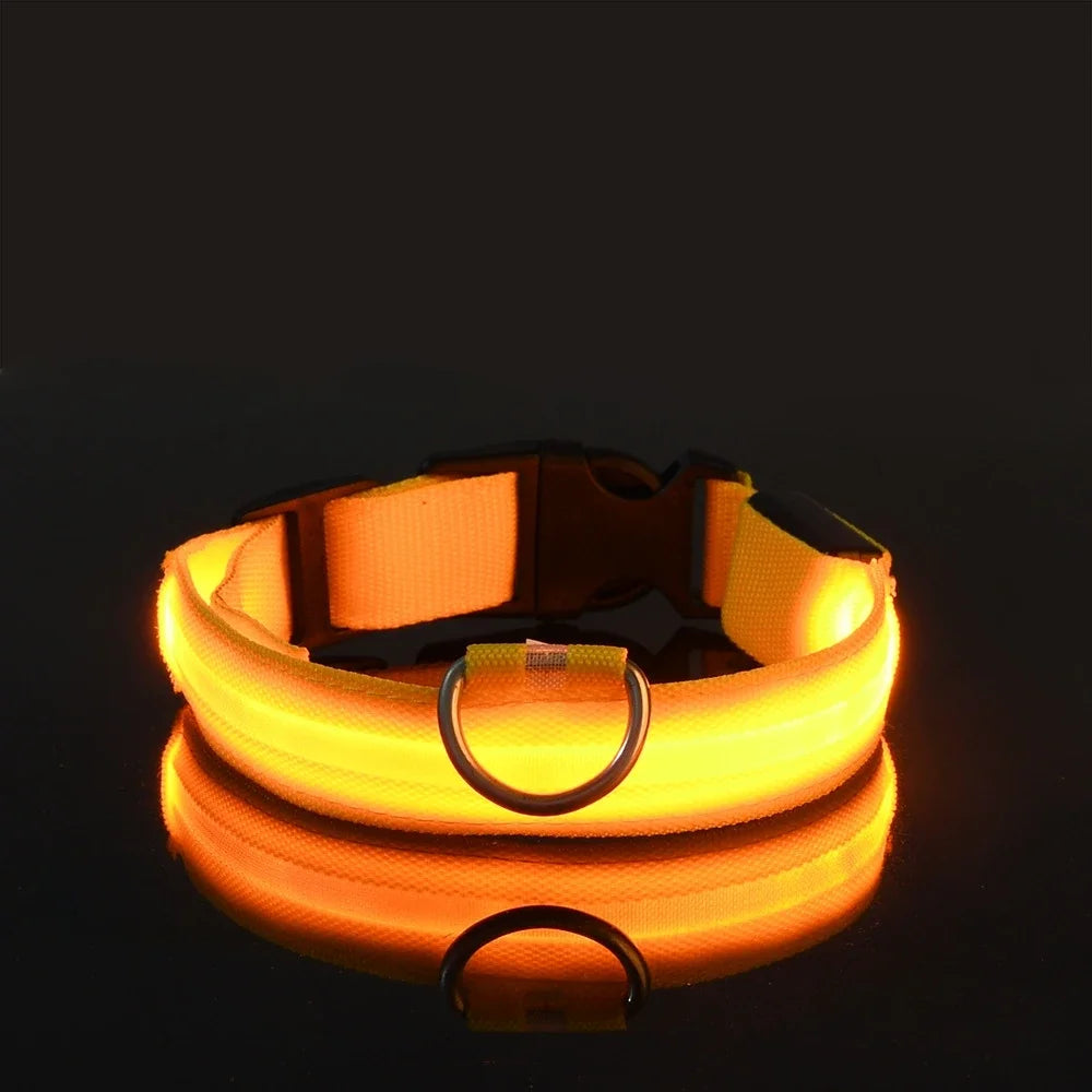 Dog Collar Nylon LED Night Safety Flashing Glow